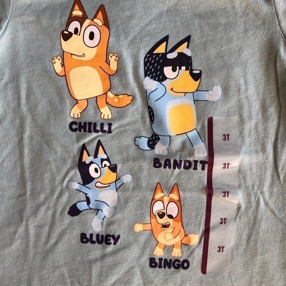 MOOSE Toddler Boy Girl Bluey Printed Short Sleeve T-Shirt Green 3T - Picture 4 of 7